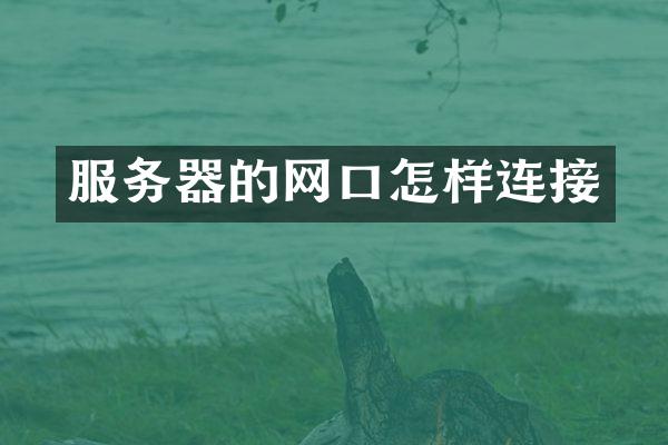 服务器的网口怎样连接