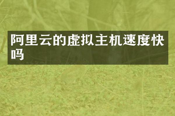 阿里云的虚拟主机速度快吗