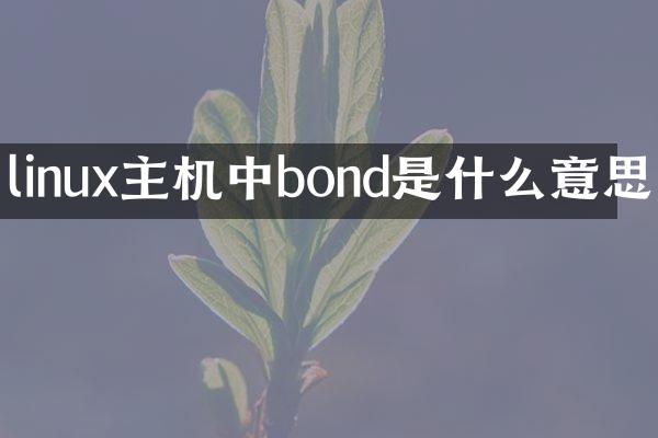 linux主机中bond是什么意思