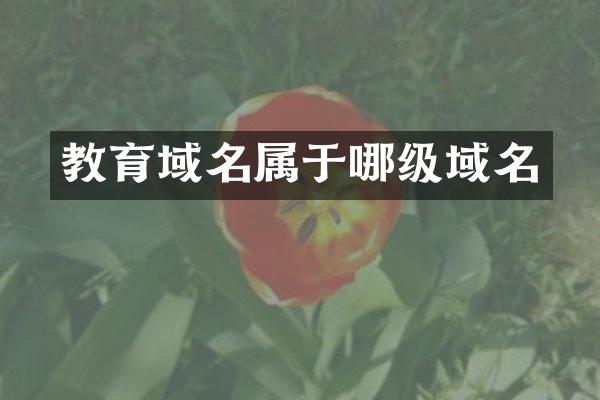 教育域名属于哪级域名