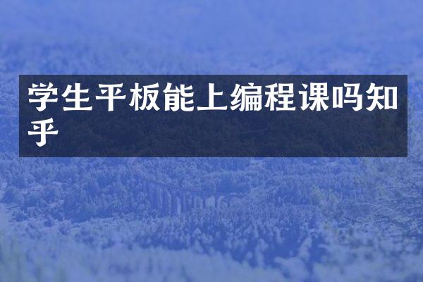 学生平板能上编程课吗知乎