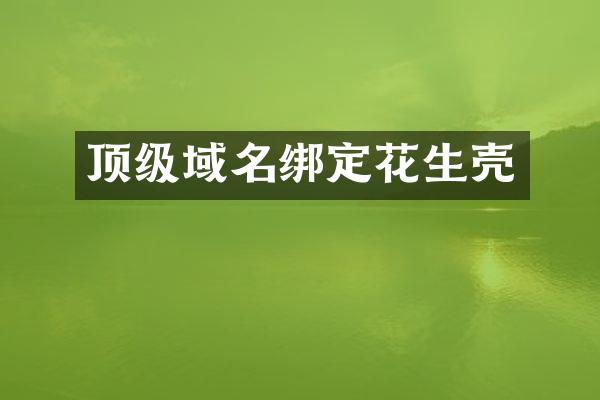 顶级域名绑定花生壳