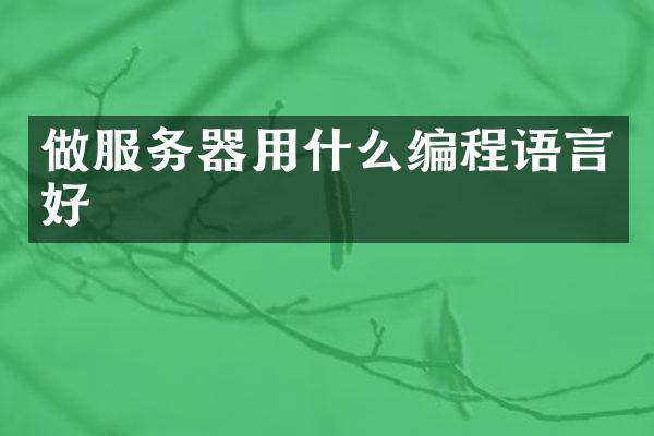 做服务器用什么编程语言好