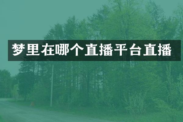 梦里在哪个直播平台直播