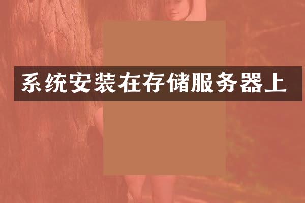 系统安装在存储服务器上