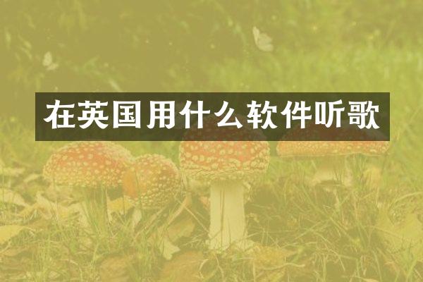 在英国用什么软件听歌