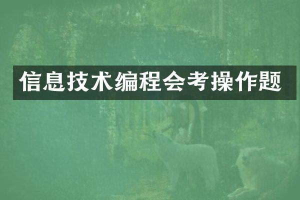 信息技术编程会考操作题