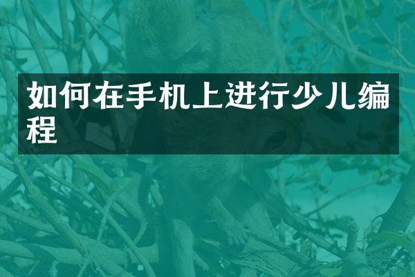 如何在手机上进行少儿编程