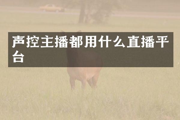 声控主播都用什么直播平台