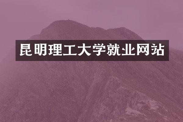 昆明理工大学就业网站