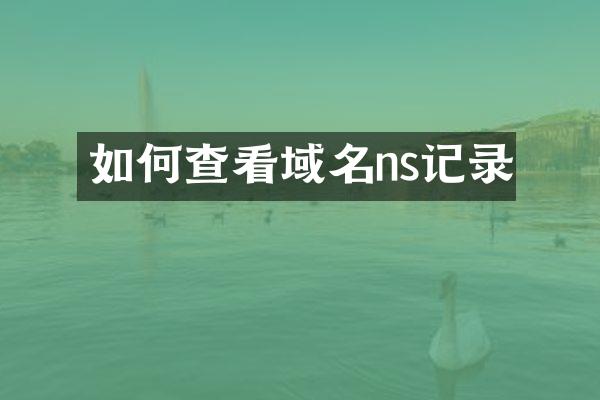 如何查看域名ns记录