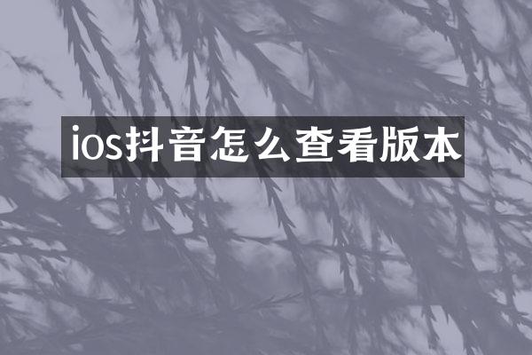 ios抖音怎么查看版本