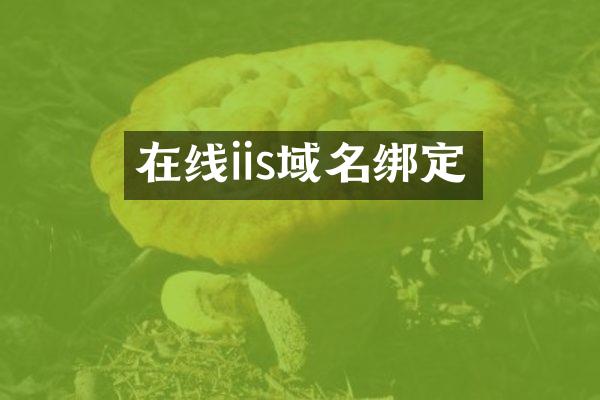 在线iis域名绑定