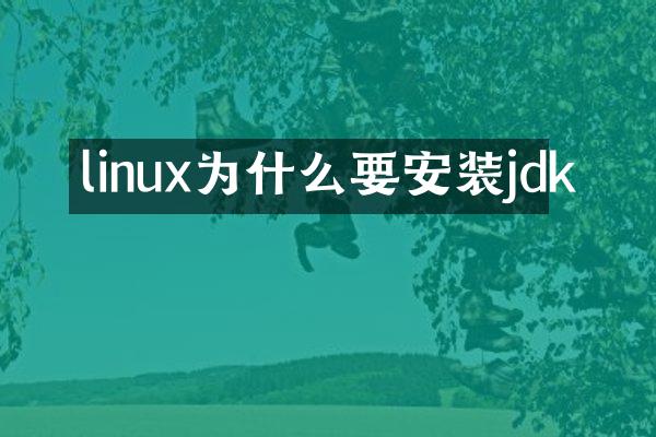 linux为什么要安装jdk