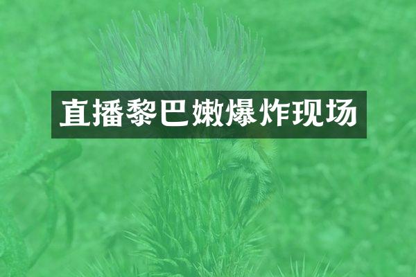 直播黎巴嫩爆炸现场