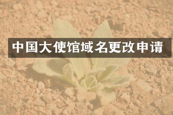 中国大使馆域名更改申请