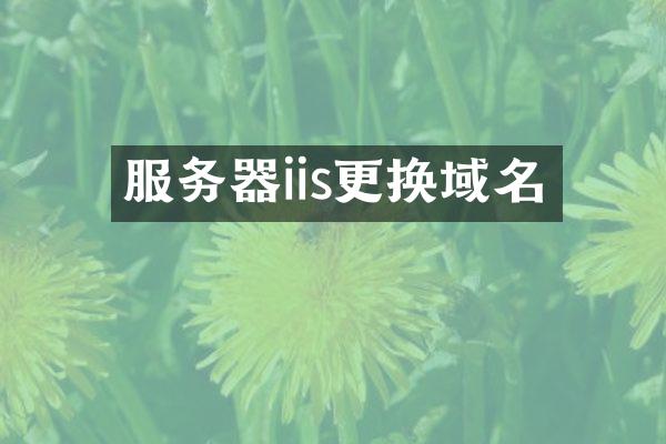 服务器iis更换域名