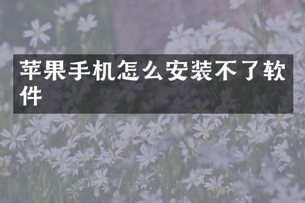 苹果手机怎么安装不了软件