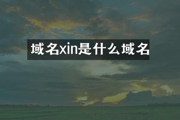 域名xin是什么域名