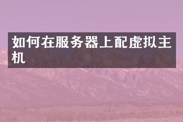 如何在服务器上配虚拟主机