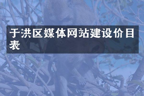 于洪区媒体网站建设价目表