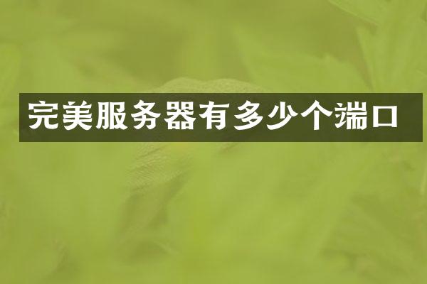 完美服务器有多少个端口