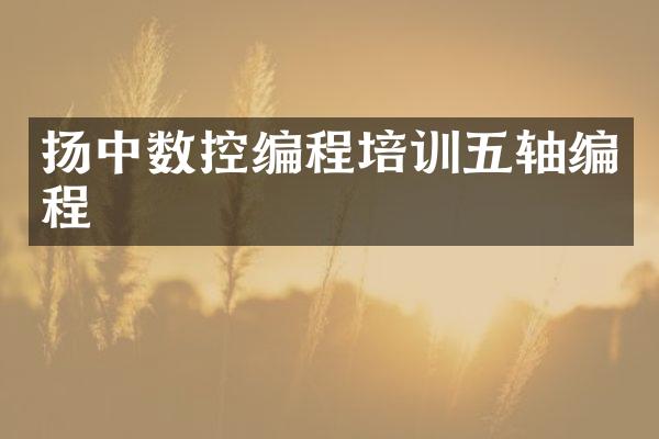 扬中数控编程培训五轴编程