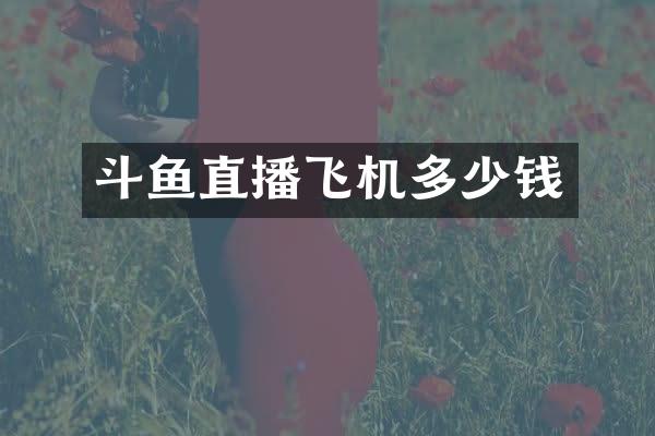 斗鱼直播飞机多少钱