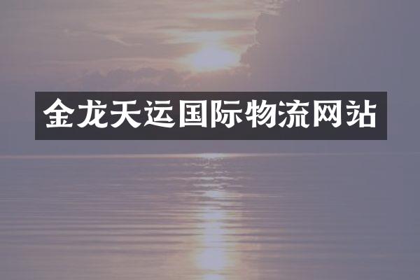 金龙天运国际物流网站