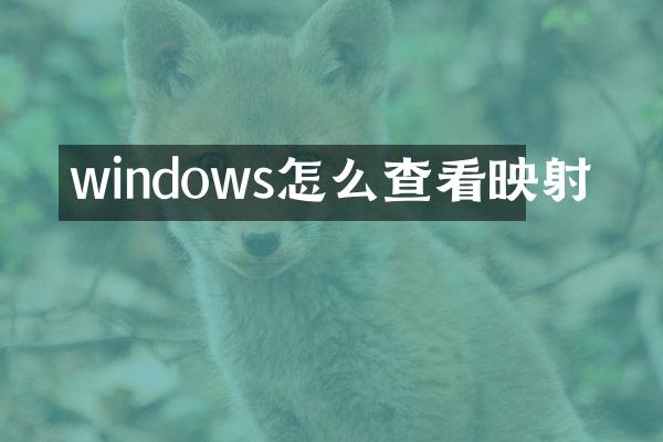 windows怎么查看映射