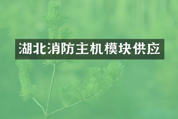 湖北消防主机模块供应