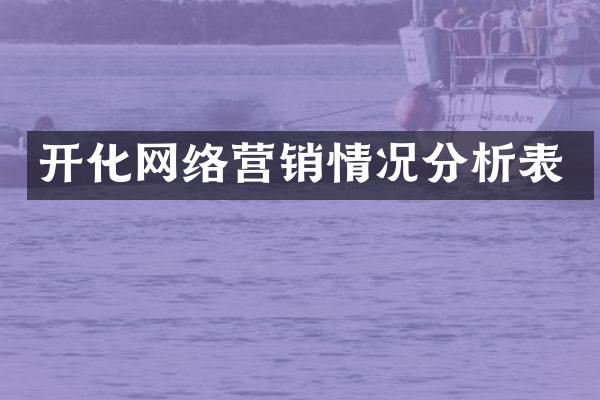开化网络营销情况分析表
