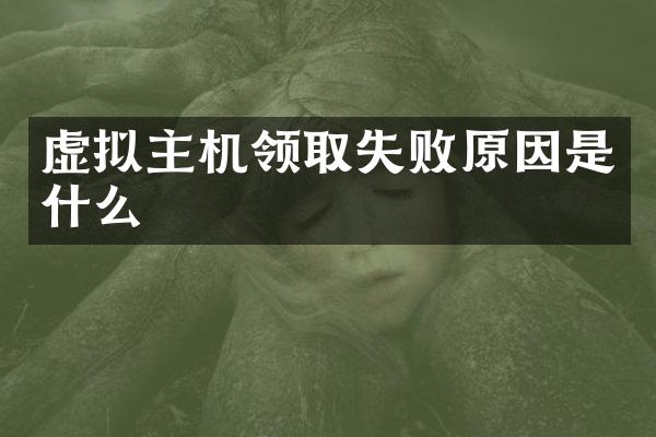 虚拟主机领取失败原因是什么