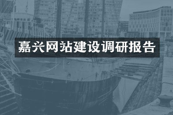 嘉兴网站建设调研报告