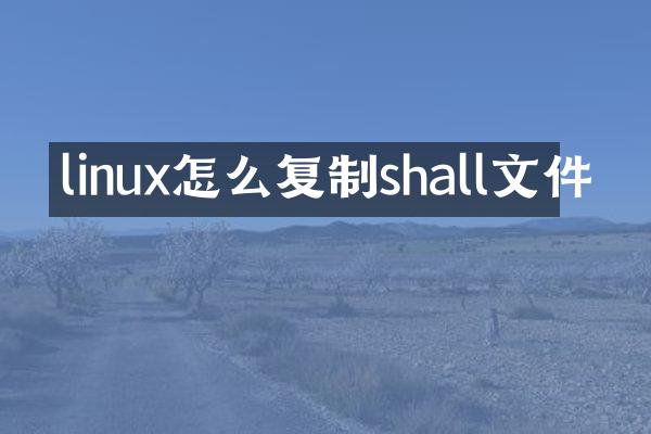 linux怎么复制shall文件