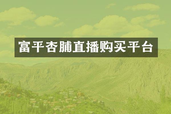 富平杏脯直播购买平台