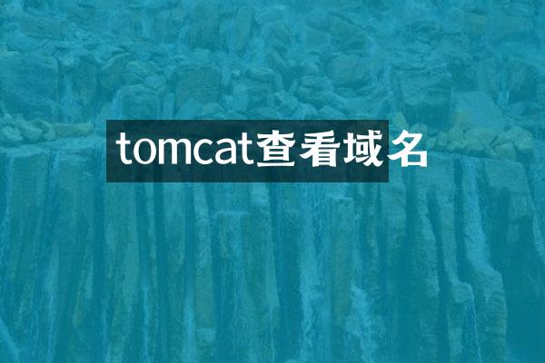 tomcat查看域名