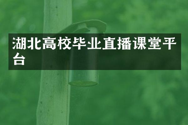湖北高校毕业直播课堂平台