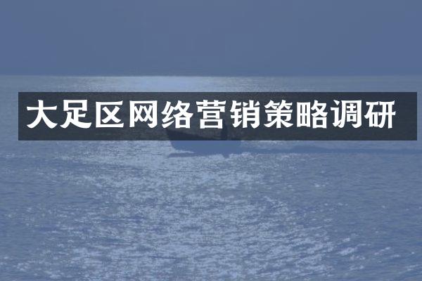 大足区网络营销策略调研
