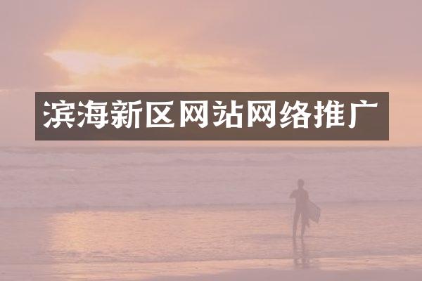 滨海新区网站网络推广