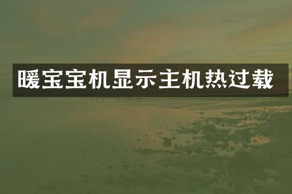 暖宝宝机显示主机热过载
