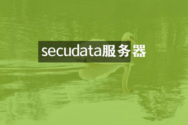 secudata服务器