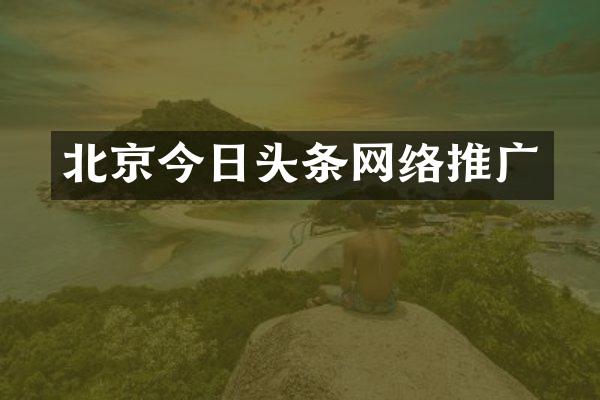 北京今日头条网络推广
