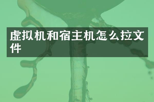 虚拟机和宿主机怎么拉文件
