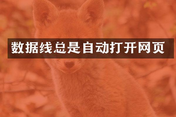 数据线总是自动打开网页