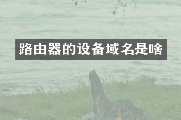 路由器的设备域名是啥