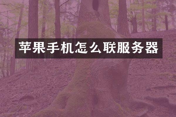 苹果手机怎么联服务器
