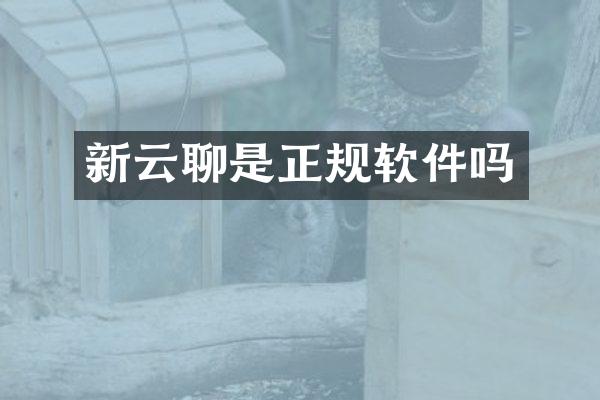 新云聊是正规软件吗