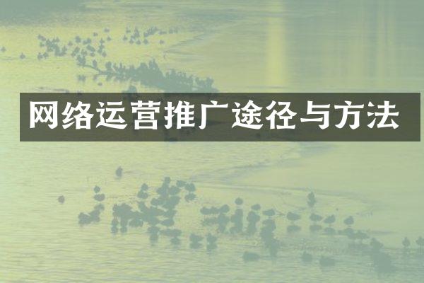 网络运营推广途径与方法