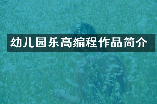 幼儿园乐高编程作品简介